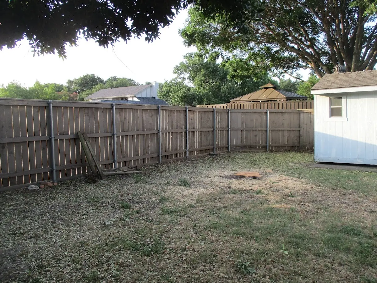 Cleared yard after professional tree removal in Victorville