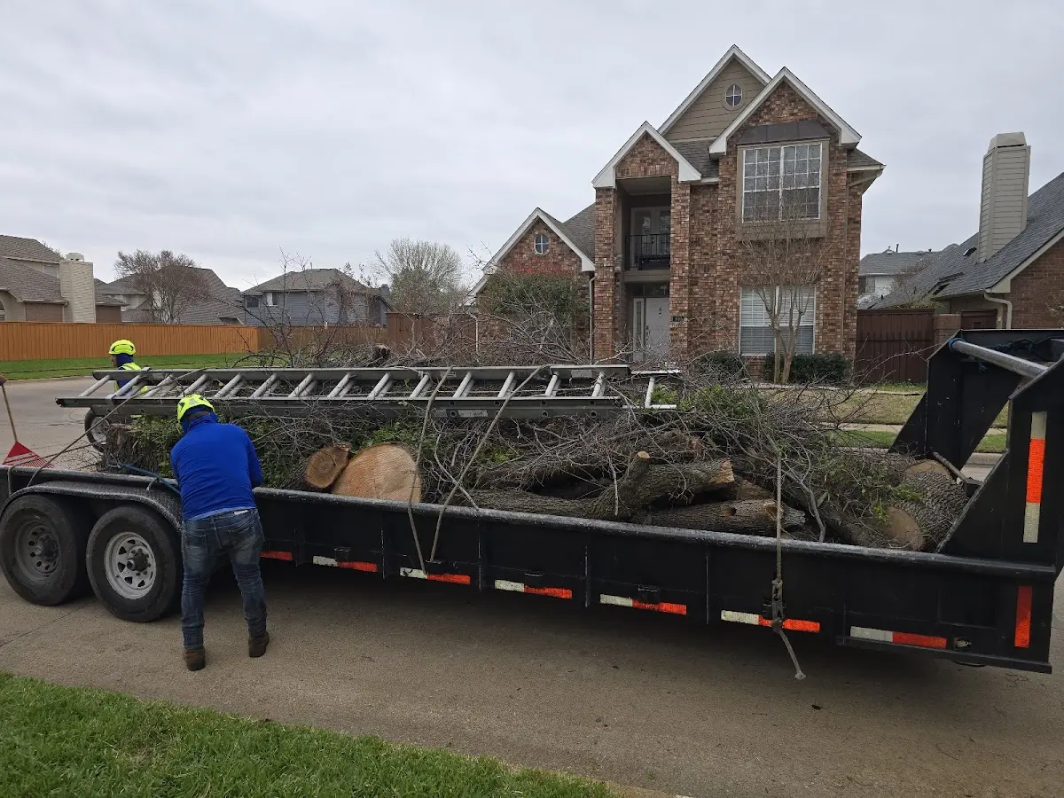 Expert Tree Pest Control with proper safety equipment in Victorville